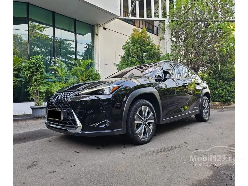 2021 Lexus UX 300e SUV