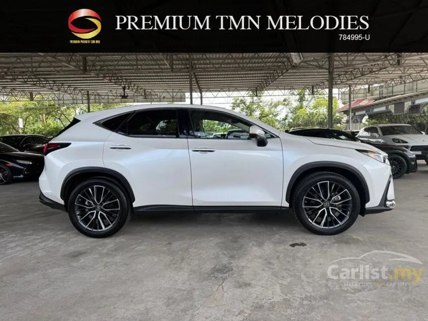 2023 Lexus NX 250 Luxury SUV