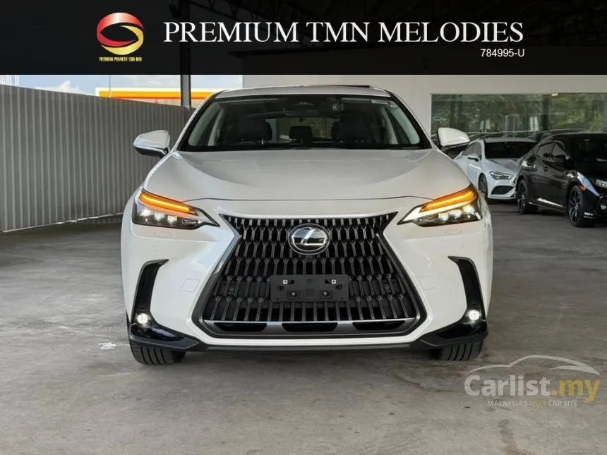 2023 Lexus NX 250 Luxury SUV