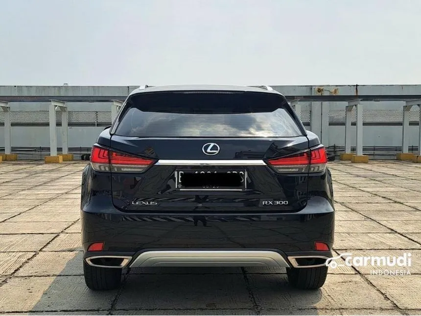 2021 Lexus RX300 Luxury SUV