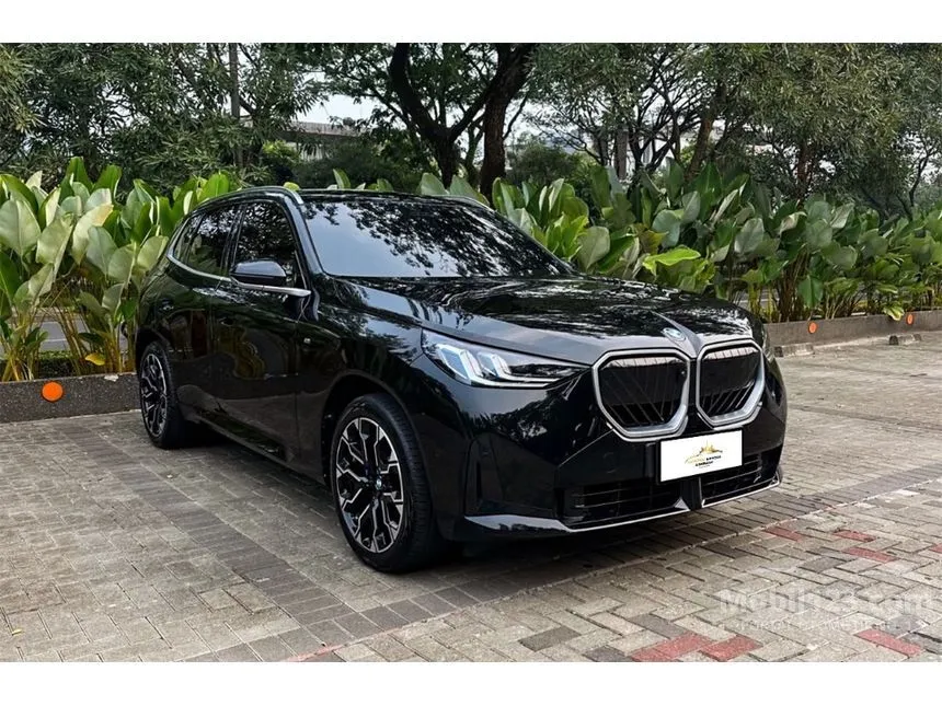 2025 BMW X3 sDrive20i xLine SUV