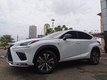 LEXUS NX300T 2018 F-SPORT WHITE ON BLACK ATPM TDP 225JT