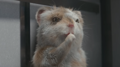 2017 Kia Soul Turbo Ad - Fiercest Baby Hamster Yet