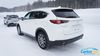 Mazda CX-8 - Japan Market Model