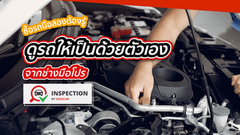 ฝึกดูให้เป็น! 