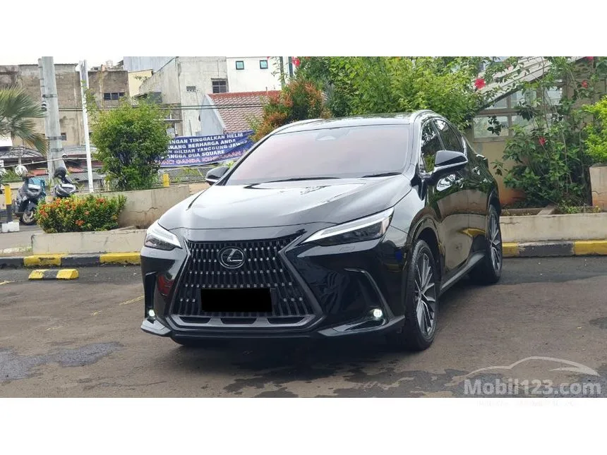 2023 Lexus NX 250 Luxury SUV