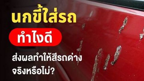 นกขี้ใส่รถ ทำไงดี ส่งผลทำให้สีรถด่างจริงหรือไม่?