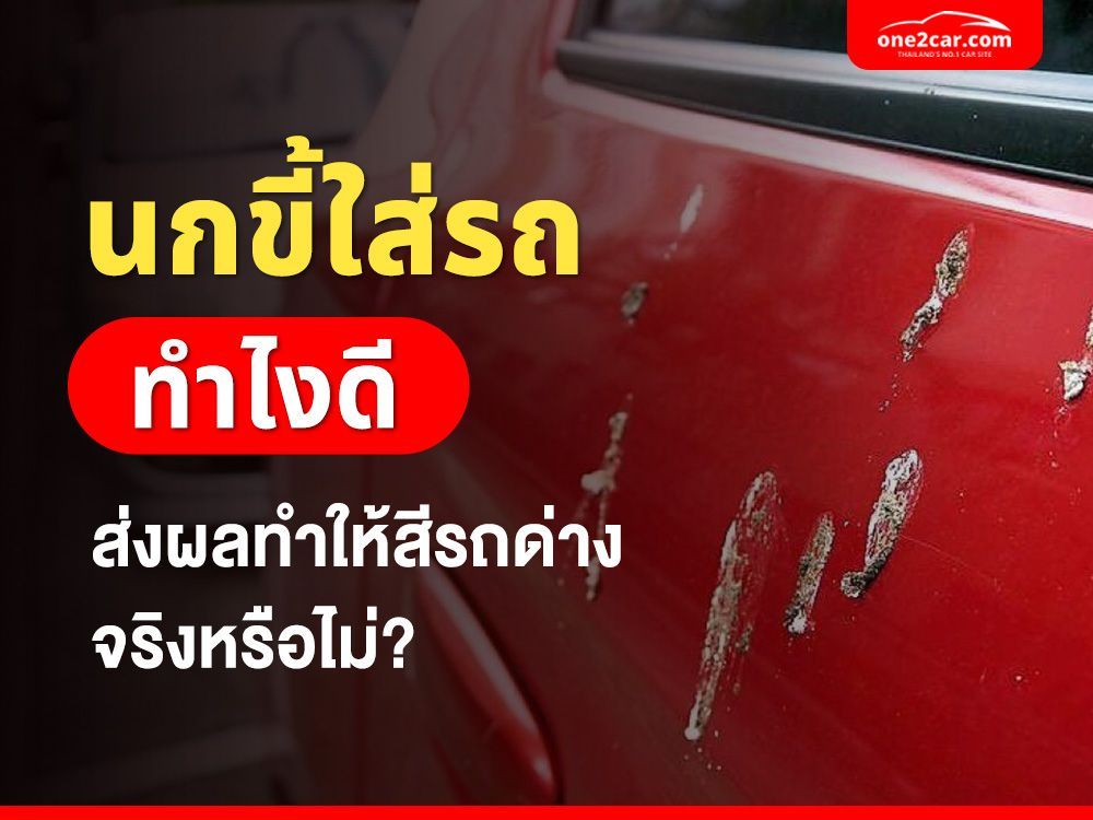 นกขี้ใส่รถ ทำไงดี ส่งผลทำให้สีรถด่างจริงหรือไม่?