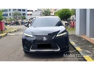 2022 Lexus UX 300e SUV