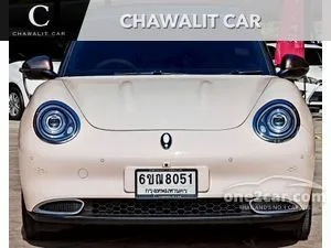 2025 ORA Good Cat Pro Hatchback