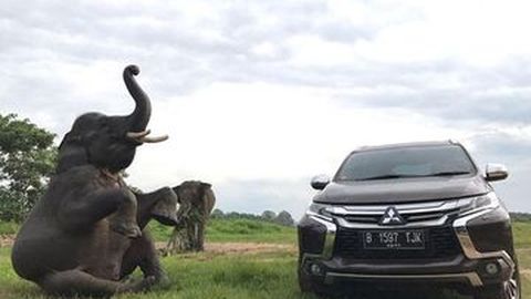 Mitsubishi Gelar Promo Baru di Bulan Februari