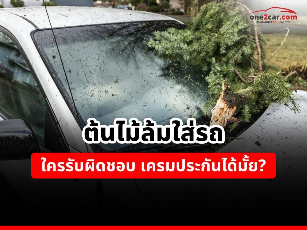 ต้นไม้ล้มใส่รถ ใครรับผิดชอบ เครมประกันได้มั้ย?