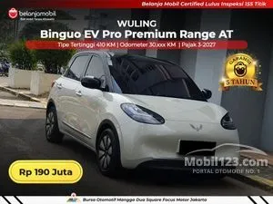 2024 Wuling Binguo EV 410 Premium Range AC/DC Hatchback