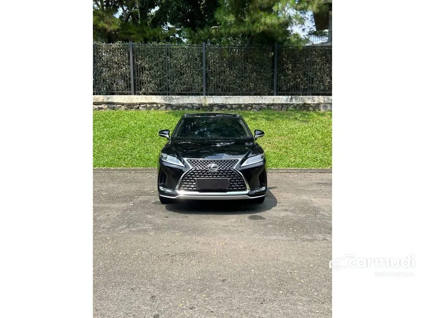 2019 Lexus RX 300 Luxury SUV