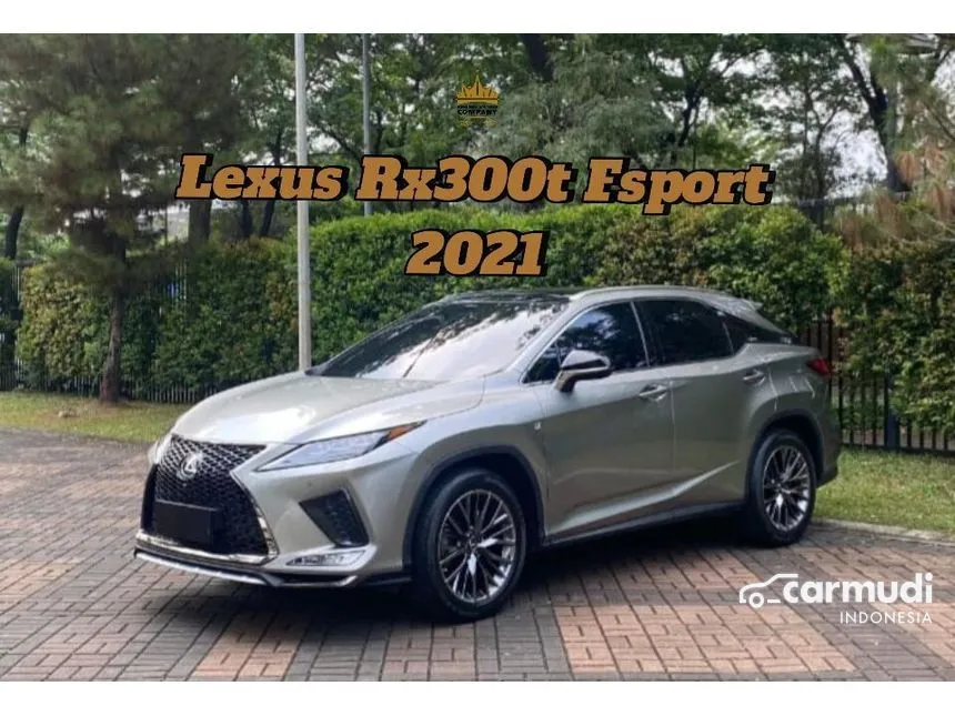 2021 Lexus RX300 F-Sport SUV