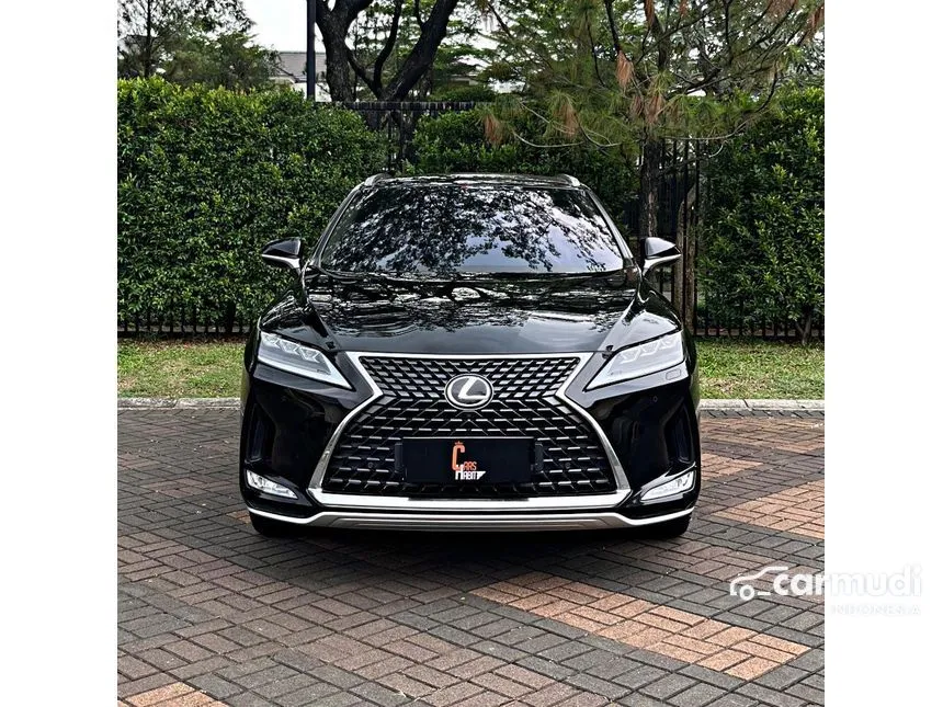 2020 Lexus RX 300 Luxury SUV