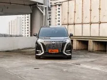 2025 Denza D9 0.0 Advanced MPV