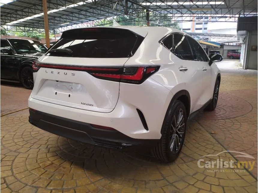 2023 Lexus NX250 Luxury SUV