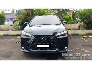 2023 Lexus NX 250 2.5 Luxury SUV