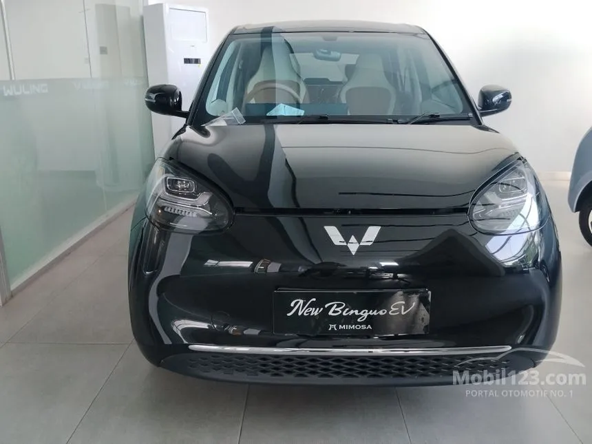 2025 Wuling Binguo EV Pro Hatchback