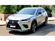 2017 Lexus NX300 2.0 F-Sport Wagon abu metalik pajak panjang cash kredit proses bisa dibantu ktp daerah juga bisa