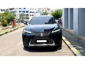 2022 Lexus UX 300e SUV