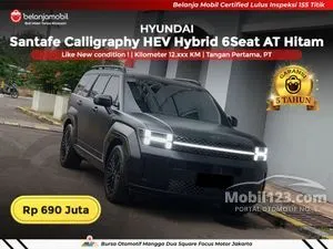 2024 Hyundai Santa Fe 1.6 Calligraphy HEV SUV