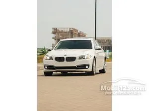 2014 BMW 528i 2.0 Luxury Sedan
