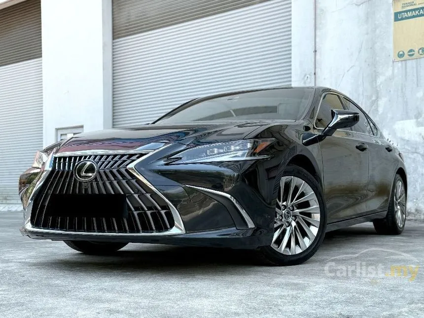 2022 Lexus ES 250 Luxury Sedan