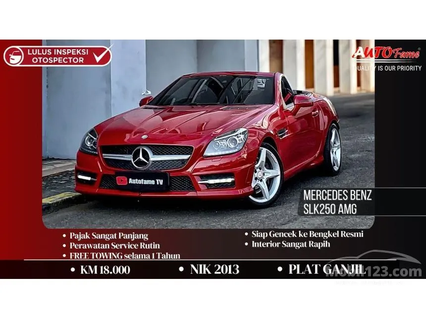 2013 Mercedes-Benz SLK250 AMG Convertible