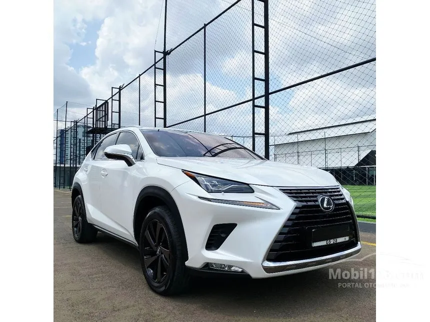 2018 Lexus NX 300 Luxury SUV