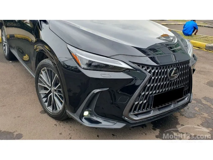 2023 Lexus NX 250 Luxury SUV