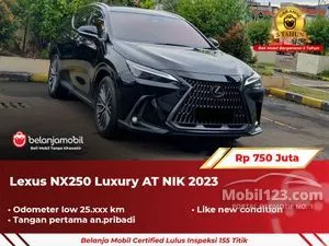 2023 Lexus NX 250 2.5 Luxury SUV