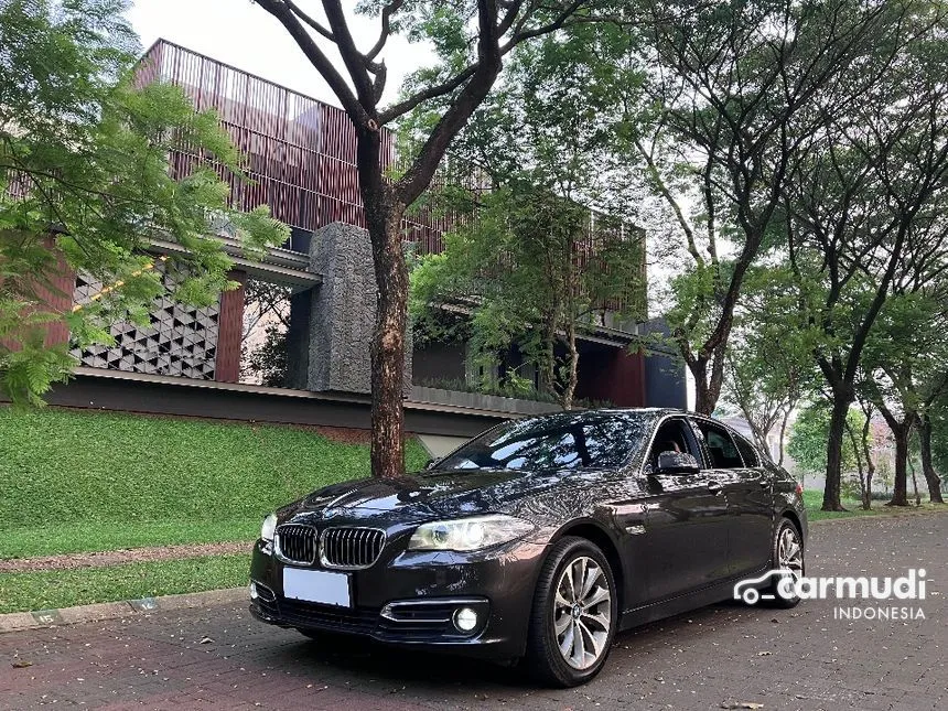 2015 BMW 520i Luxury Sedan