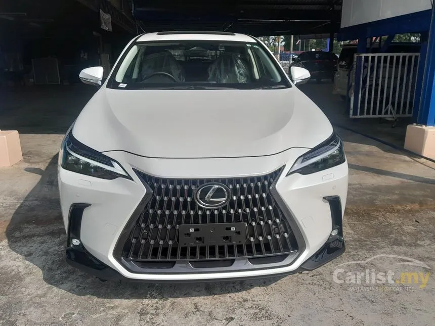 2022 Lexus NX250 Luxury SUV