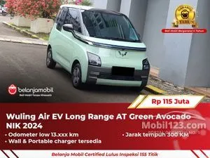 2024 Wuling Air EV Lite Long Range Hatchback