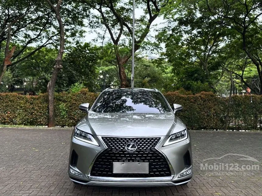 2019 Lexus RX300 Luxury SUV