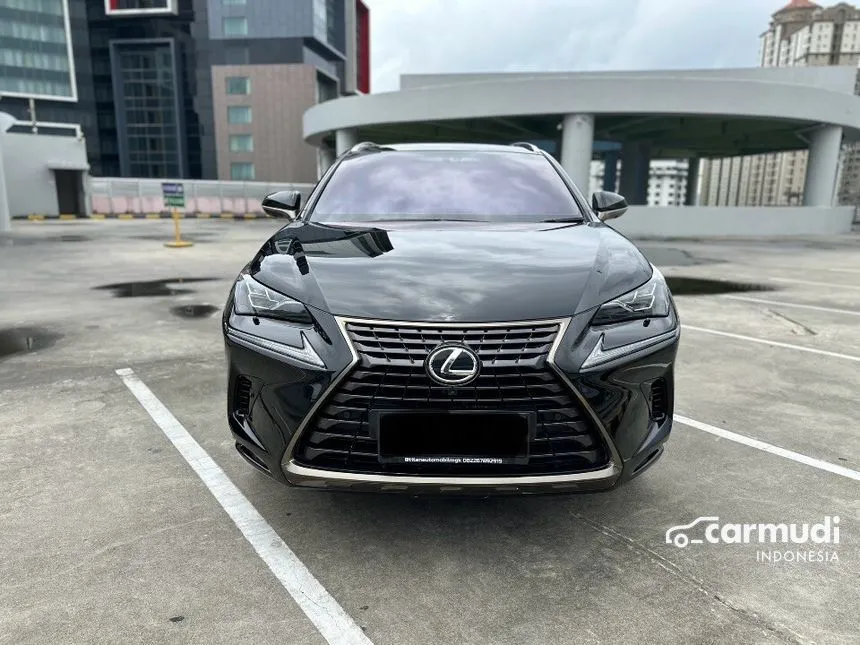 2019 Lexus NX300 Luxury Wagon