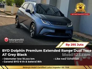 2024 BYD Dolphin Premium Extended Range Hatchback