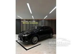 2021 Lexus RX 300 2.0 Luxury SUV