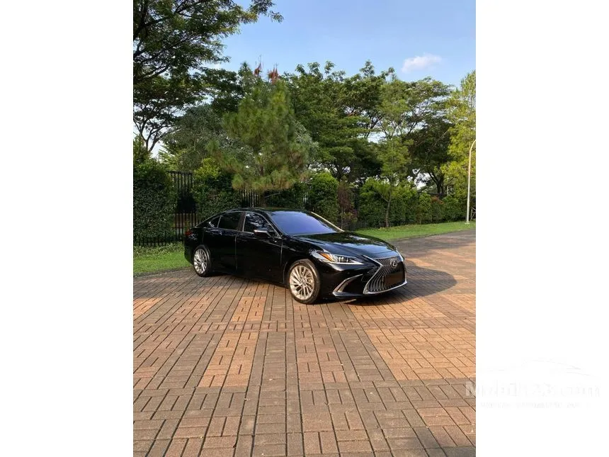 2019 Lexus ES250 Ultra Luxury Sedan