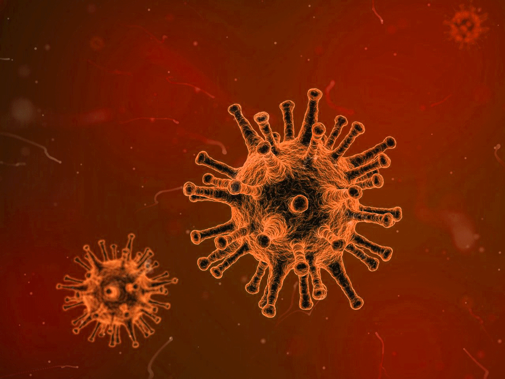 Cegah Penularan Virus Corona, Masyarakat Diimbau Pakai Masker di Angkot