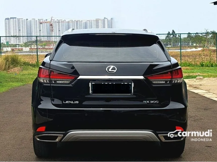 2021 Lexus RX300 Luxury SUV