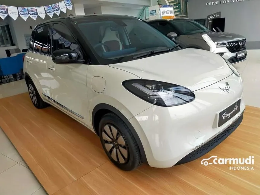 2025 Wuling Binguo EV 333 Long Range AC/DC Hatchback