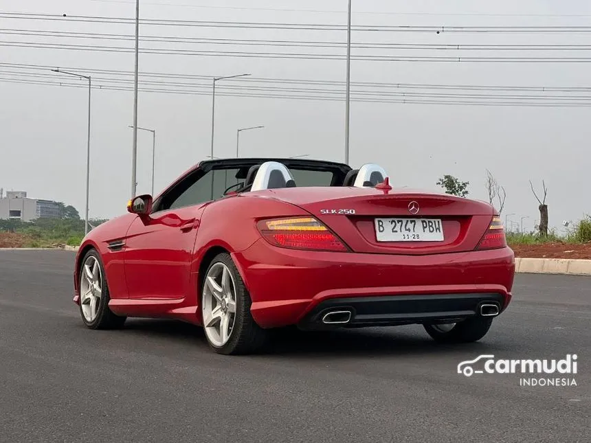 2011 Mercedes-Benz SLK250 AMG Convertible