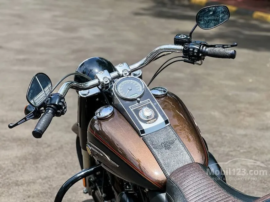 2013 Harley Davidson Softail FLS