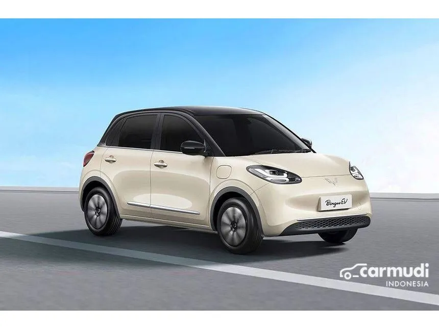 2024 Wuling Binguo EV 410 Premium Range AC/DC Hatchback