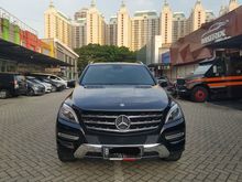 Mercedes-Benz ML250 2.1 CDI 2015 Hitam