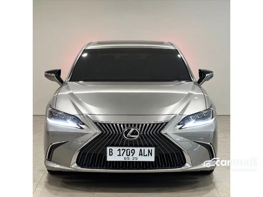 2019 Lexus ES250 Ultra Luxury Sedan