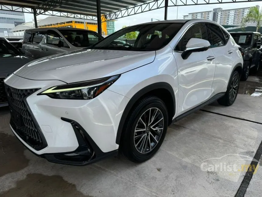 2022 Lexus NX250 Luxury SUV